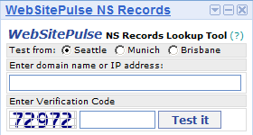NS Records Lookup Gadget